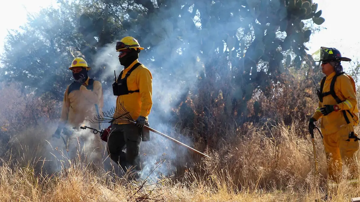 INCENDIOS FORESTALES 1